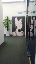 -DEM缔怡美科技美容