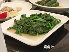 -新南华大酒店(长寿店)