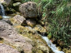 -南海湾森林生态园