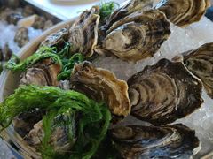 -上海和平饭店华懋阁 Cathay Room