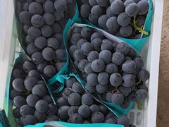 -马陆小张葡萄园农家乐