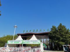 -黄海国家森林公园