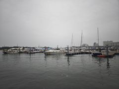 -日照世帆赛基地