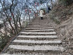 -灵顺寺