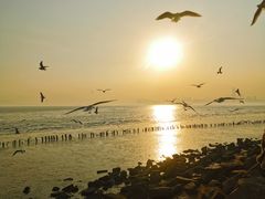 -深圳湾公园(南山区)