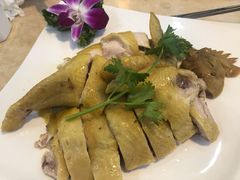 白切文昌鸡-墨脱石锅椰子鸡•香草鸭•东山羊(大东海店)