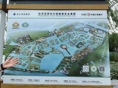 -荷花大观园