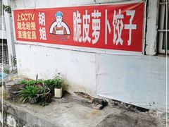 -半月镰胡姐脆皮萝卜饺子