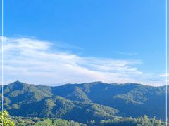 -雁南飞茶田景区
