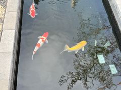 -西安市广仁寺