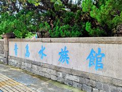-青岛海底世界-水族馆