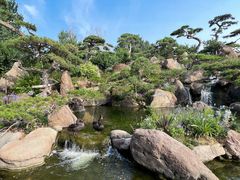 -罗红摄影艺术馆