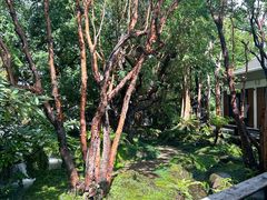 -Chom Cafe and Restaurant