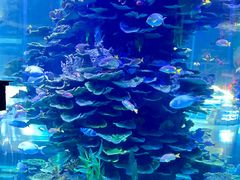 -泉城欧乐堡海洋极地世界