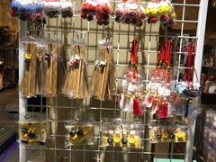 -猫咪博物馆(顶澳仔猫街店)