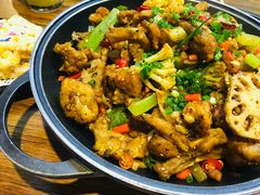 -靓蛙馆