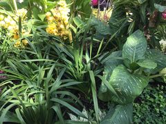 -北京植物园-展览温室