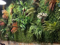 -味之绝热血美蛙鱼火锅(中坝店)