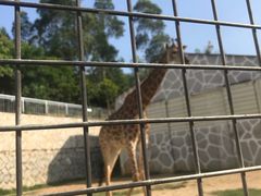 -泉州海丝野生动物世界