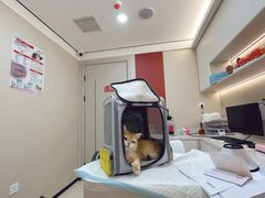 -御宝贝24h宠物医院·转诊中心·CT核磁血透中心(厦门总院)