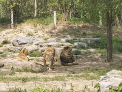 -北京野生动物园