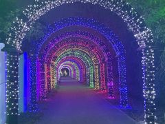 -上海杨姆庄园