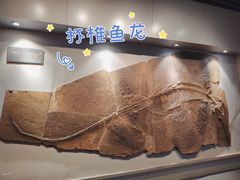 -中国地质博物馆