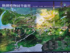 -深圳仙湖植物园
