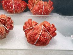 -上宴精品海鲜姿造(晶融汇旗舰店)