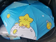 -龙阳路磁悬浮列车总站-停车场