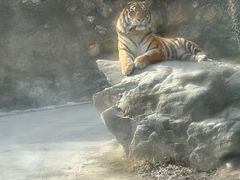 -栾川竹海野生动物园