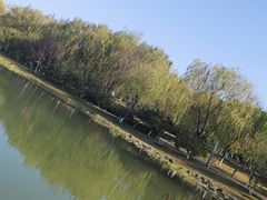 -桐乡植物园