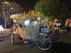 -锦江乐园舞狸花花游园会(夜场专享)