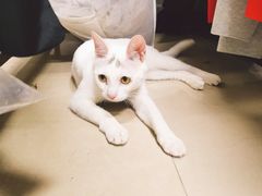 -iF摄影•全家福•证件照•形象照(南山店)