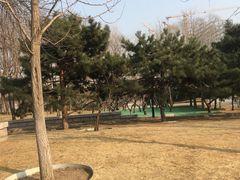 -玲珑塔公园