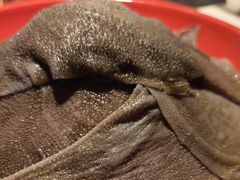 -二荆条·蜀鲜汇城市森林火锅