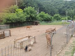 -北京山里寒舍度假酒店