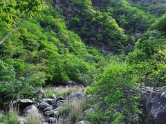 -洛阳白云山景区
