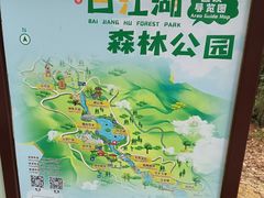 -广州白江湖森林公园