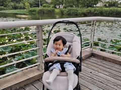 -新江湾城公园