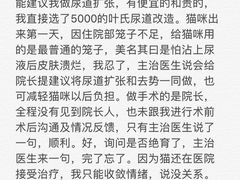 -伟伟宠物医院·CT影像中心·瑞派犬猫综合性门诊(汉口总院)