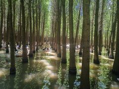 -捞渔河湿地公园