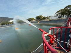 -苏州太湖西山岛开心农场