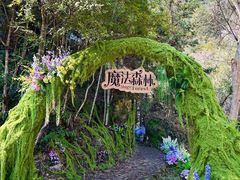 -龙湾潭国家森林公园