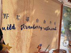 -野草莓自由市场