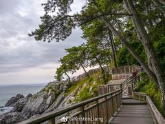 -海云台海滩