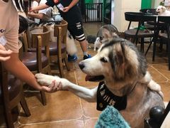 -李小姐の猫咖啡馆(五角场店)