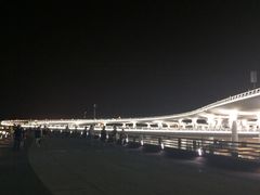 -演武大桥观景平台