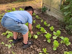 -前小桔亲子创意农场·草莓采摘·露营烧烤