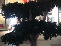 -木屋烧烤(岗顶二店)